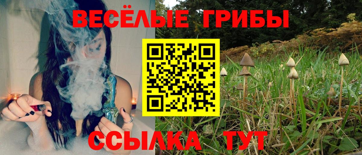 Псилоцибиновые грибы ЛСД  Галлюциногенные грибы MAGIC MUSHROOMS  Долгопрудный  Вход с VPN 